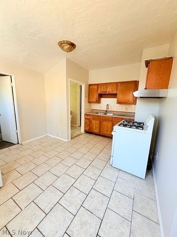3417 Storer Avenue, Cleveland, OH 44109