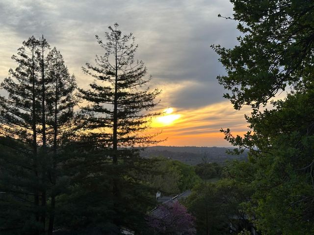 5229 Westridge Ave, Auburn, CA 95602