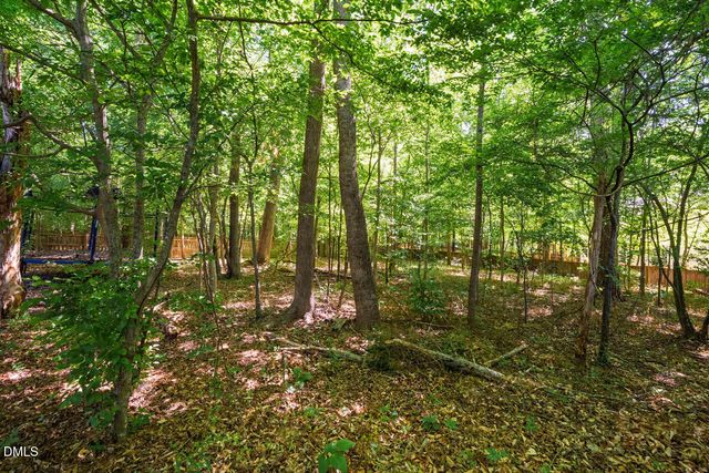 142 W Hatterleigh Avenue, Hillsborough, NC 27278