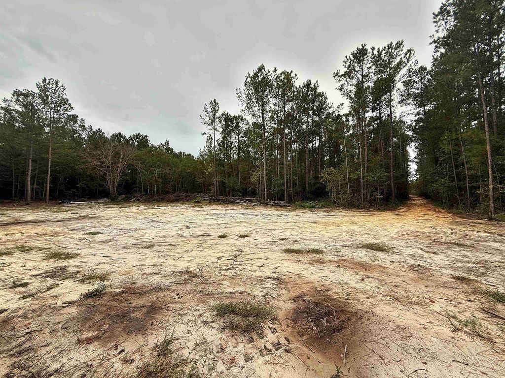 1682 Carriage Dr., Loris, SC 29569 — exterior