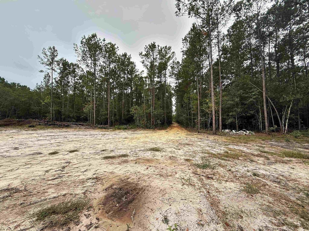 1682 Carriage Dr., Loris, SC 29569 — photo 2