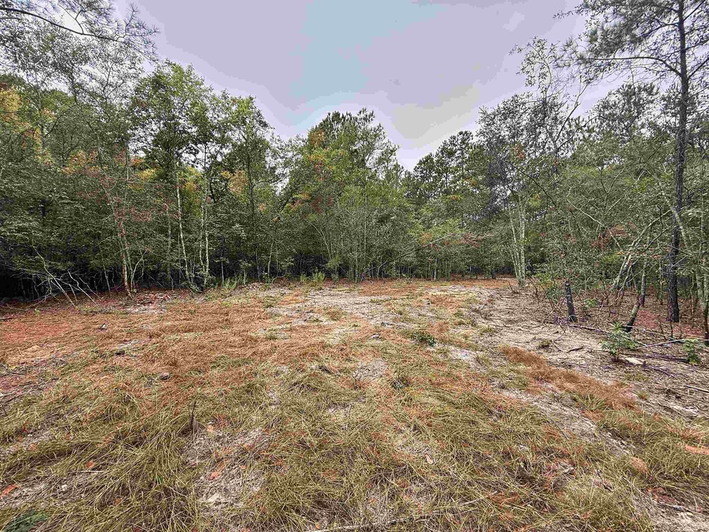 1682 Carriage Dr., Loris, SC 29569 — photo 4