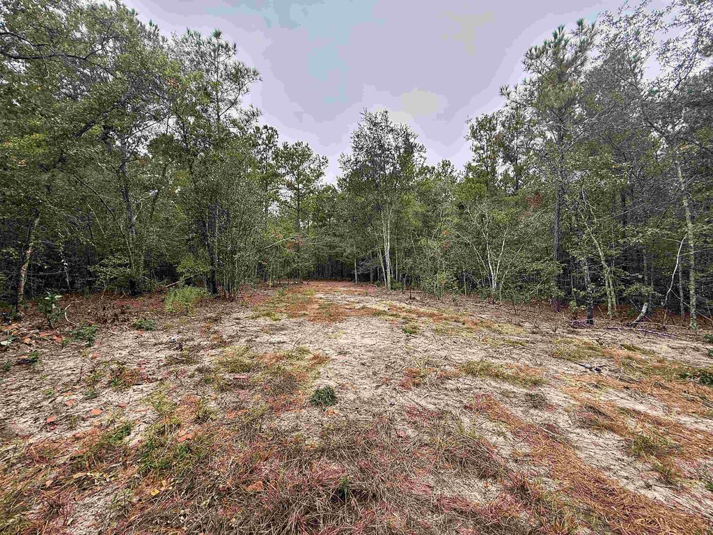 1682 Carriage Dr., Loris, SC 29569 — photo 5