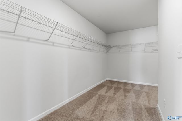113 Saddle Street, New Market, AL 35761