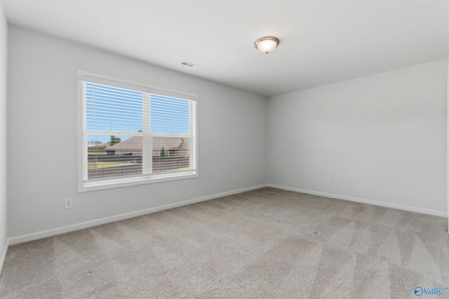 113 Saddle Street, New Market, AL 35761