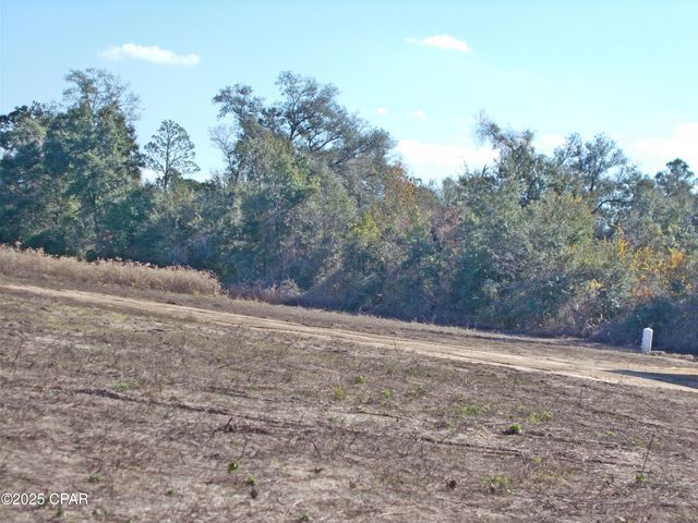 6905 Bateau Pond Lane, Grand Ridge, FL 32442