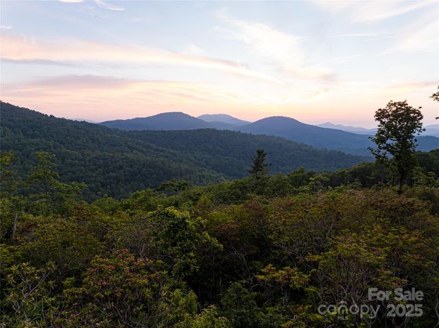 591 Garden Lane, Hendersonville, NC 28792