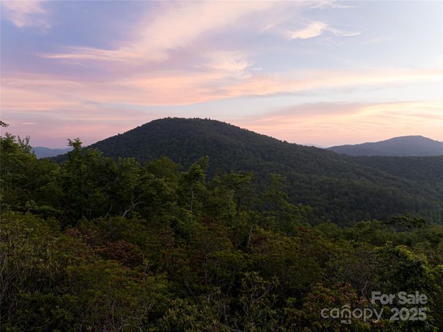 591 Garden Lane, Hendersonville, NC 28792