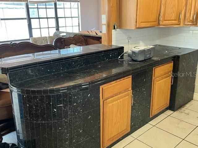 1505 W HAMILTON AVENUE, Tampa, FL 33604