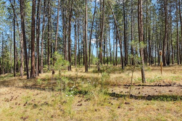 17016 N Saddle Hill Rd, Colbert, WA 99005