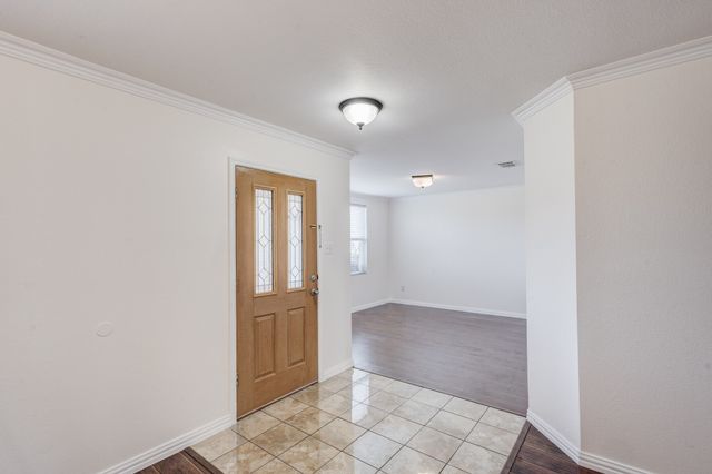 3009 Meadow Bluff Drive, Wylie, TX 75098