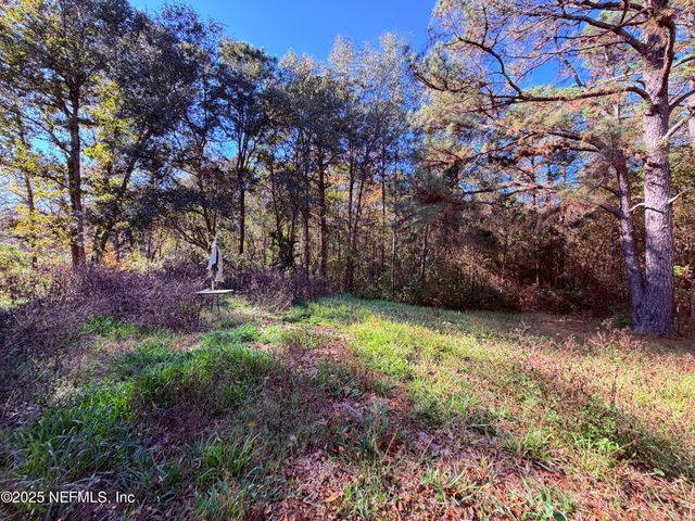 167 PEPPERMINT Avenue, Middleburg, FL 32068