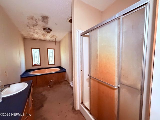 167 PEPPERMINT Avenue, Middleburg, FL 32068