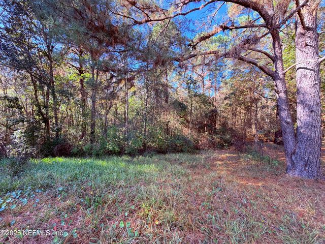 167 PEPPERMINT Avenue, Middleburg, FL 32068