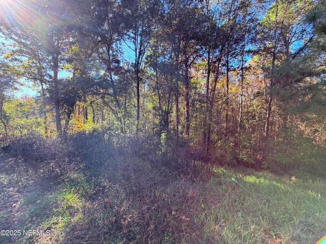 167 PEPPERMINT Avenue, Middleburg, FL 32068