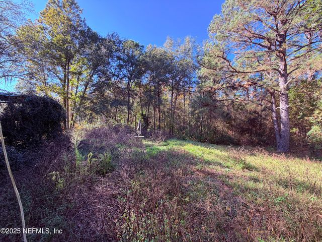 167 PEPPERMINT Avenue, Middleburg, FL 32068