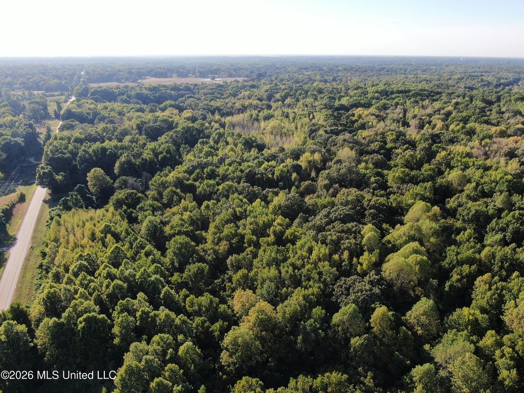17 Star Landing Road, Nesbit, MS 38651 — exterior