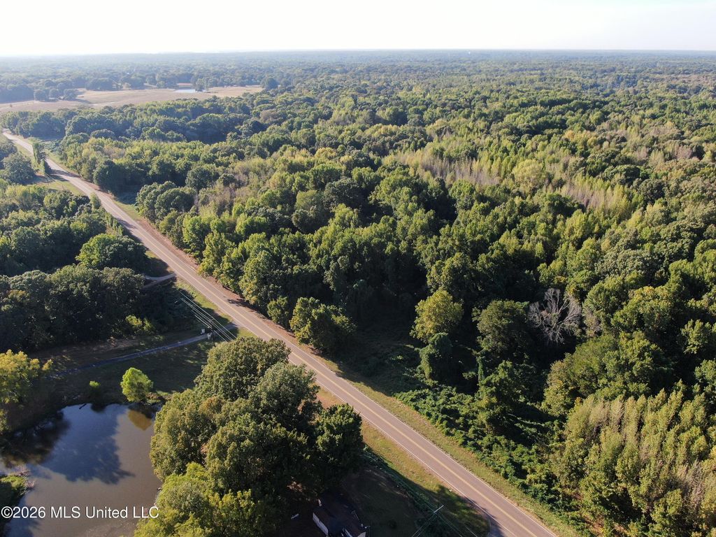 17 Star Landing Road, Nesbit, MS 38651 — photo 4