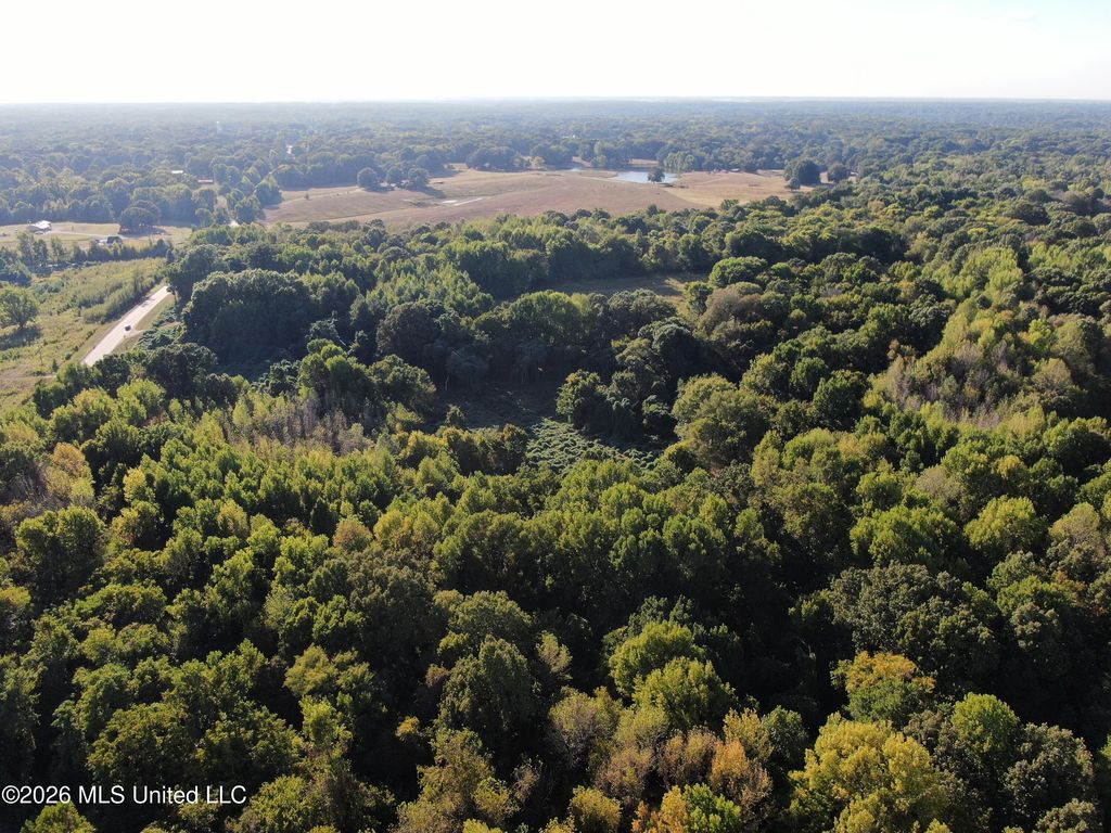 17 Star Landing Road, Nesbit, MS 38651 — photo 5