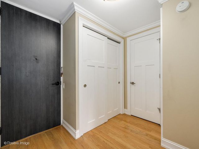 1030 N State Street 3J, Chicago, IL 60610