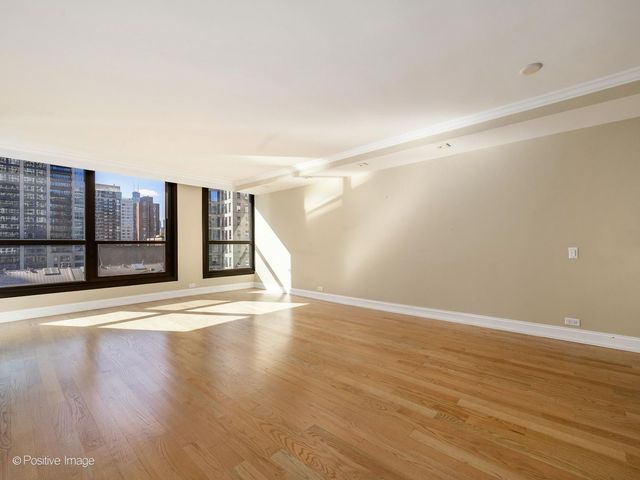 1030 N State Street 3J, Chicago, IL 60610