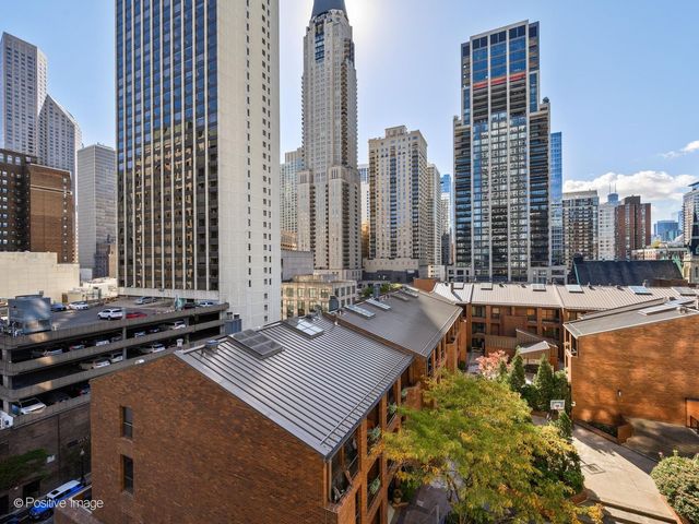 1030 N State Street 3J, Chicago, IL 60610