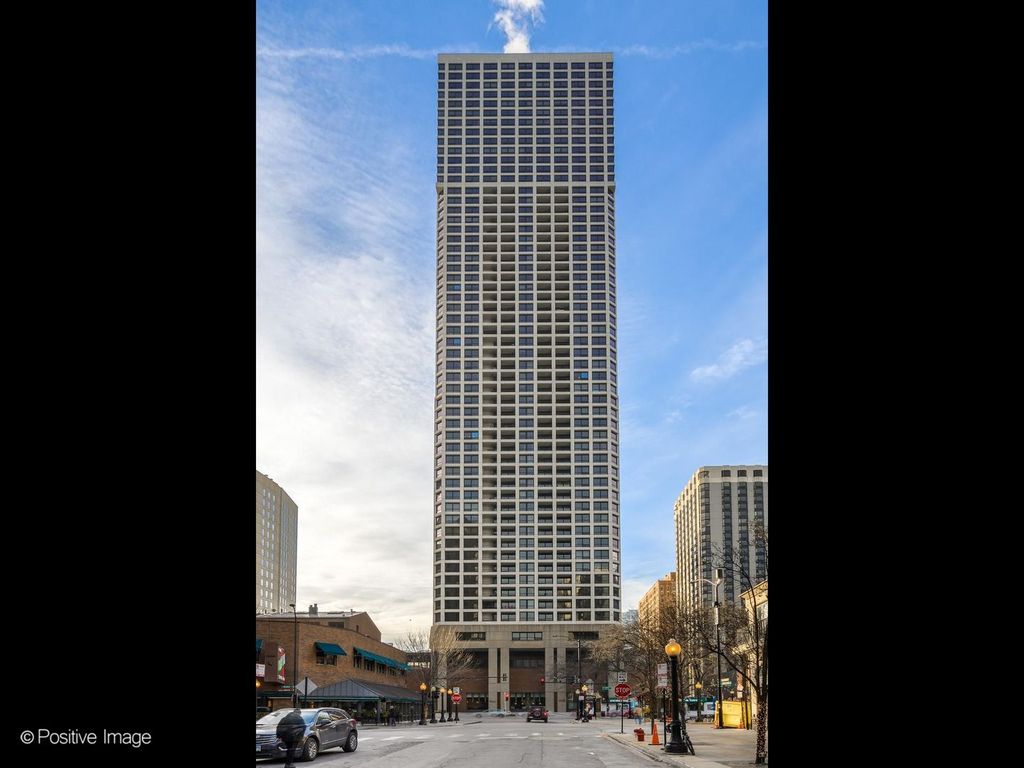 1030 N State Street 3J, Chicago, IL 60610