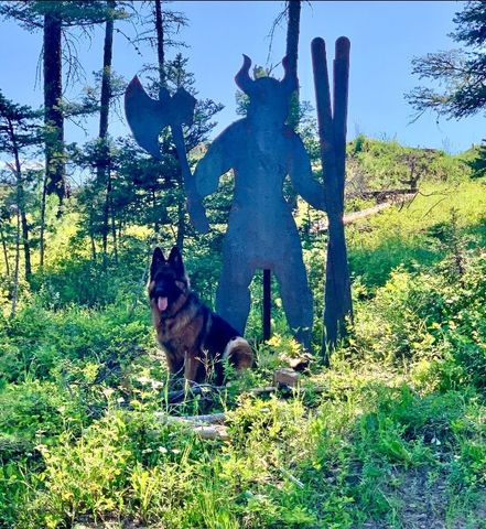 11310 Taiga Trail, Bozeman, MT 59715