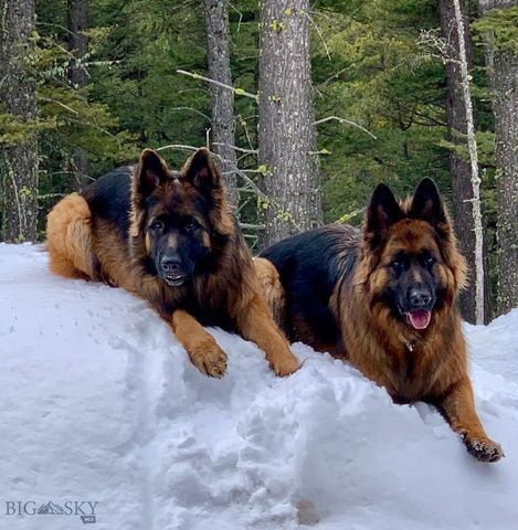 11310 Taiga Trail, Bozeman, MT 59715