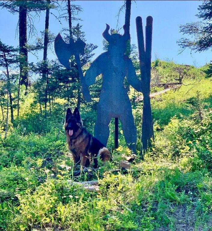 11310 Taiga Trail, Bozeman, MT 59715 photo 63