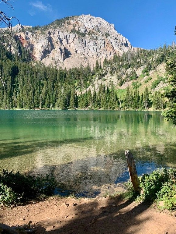 11310 Taiga Trail, Bozeman, MT 59715 photo 65