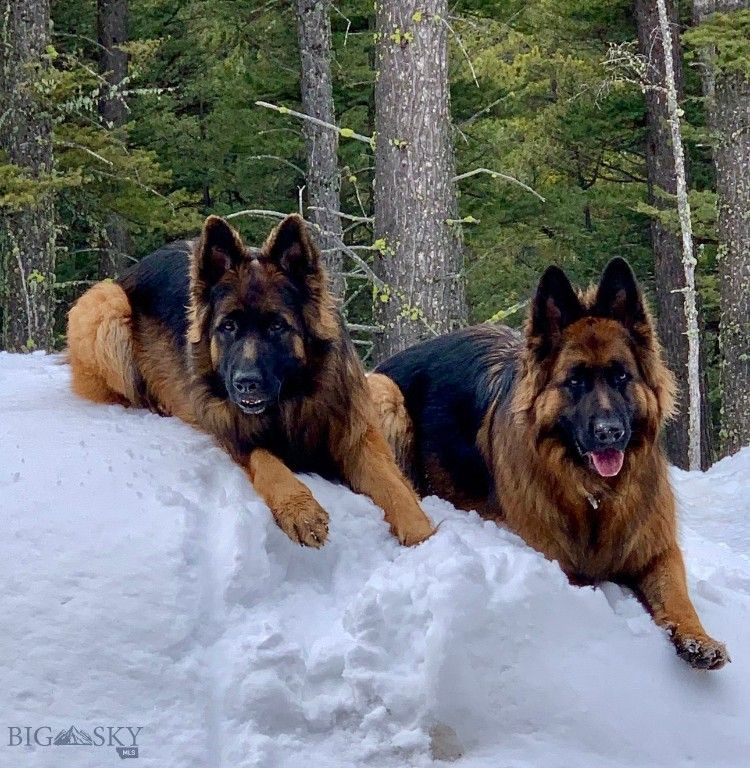 11310 Taiga Trail, Bozeman, MT 59715 photo 66