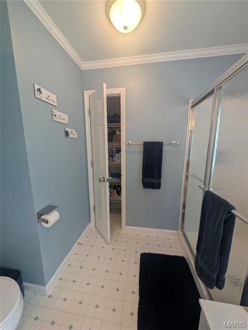 14 Canter Court, O'fallon, MO 63376