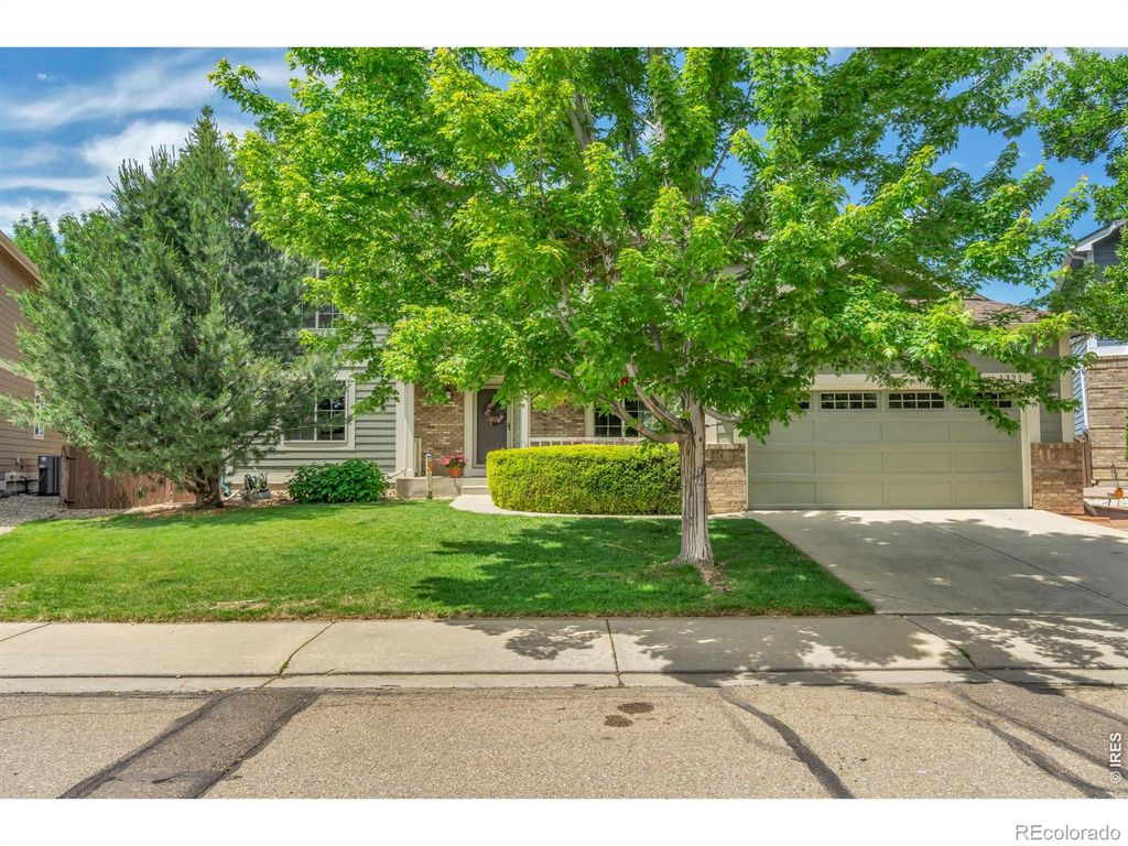 1321 Wildrose Court, Longmont, CO 80503