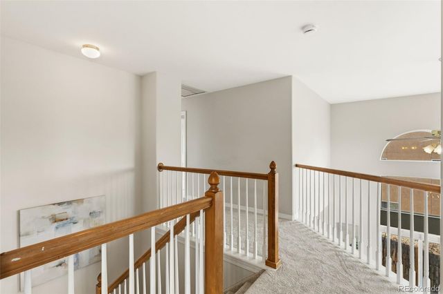 459 Assay Court, Colorado Springs, CO 80905