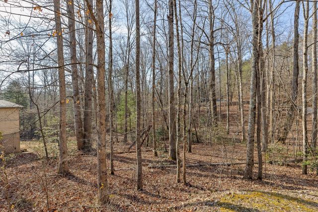 1025 Mount Olive Road, Lookout Mountain, GA 30750