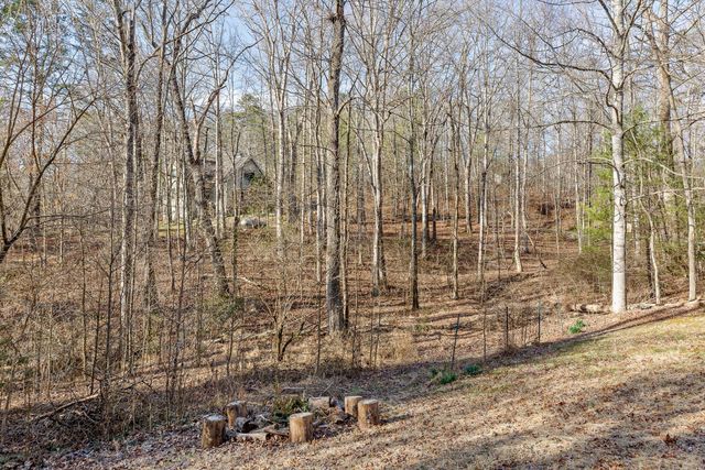 1025 Mount Olive Road, Lookout Mountain, GA 30750