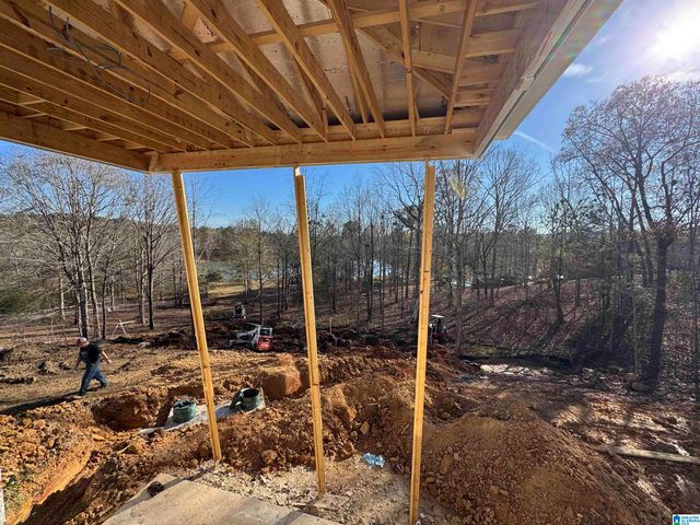 320 EMERALD LANE, Chelsea, AL 35043