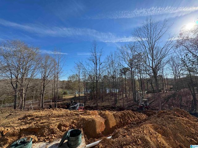 320 EMERALD LANE, Chelsea, AL 35043