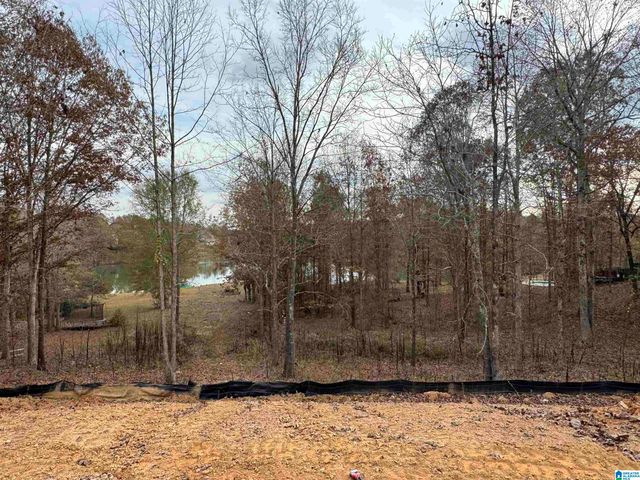 320 EMERALD LANE, Chelsea, AL 35043