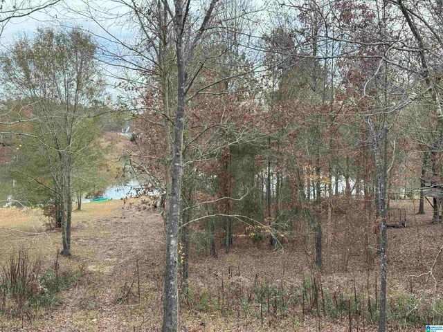 320 EMERALD LANE, Chelsea, AL 35043