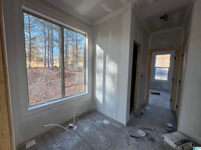 320 EMERALD LANE, Chelsea, AL 35043