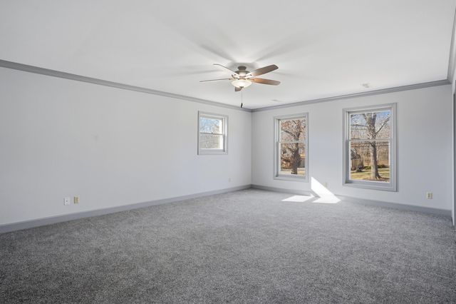 404 S GREENWOOD AVE, Columbia, MO 65203