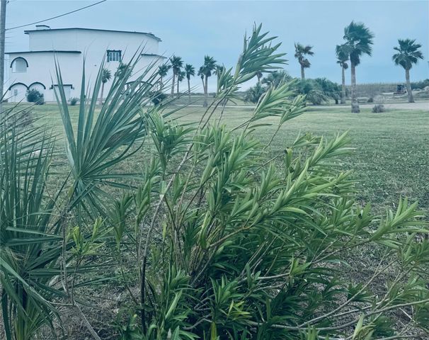 17009 San Luis Pass Road, Galveston, TX 77554