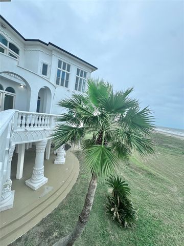 17009 San Luis Pass Road, Galveston, TX 77554