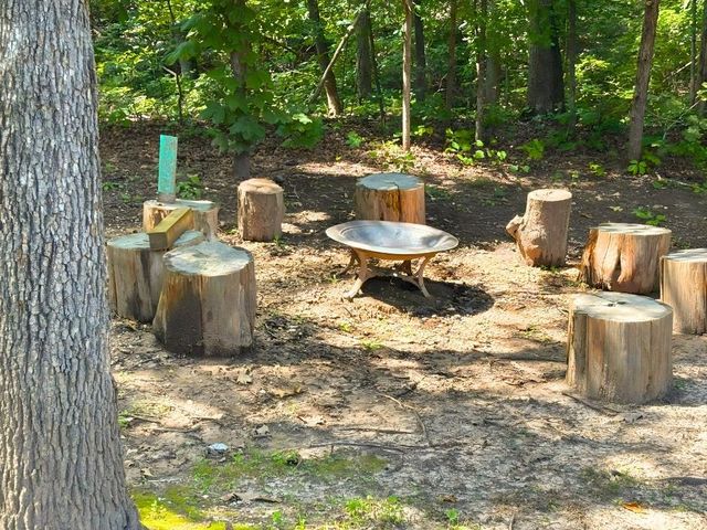 11 Winona Trace, Cherokee Village, AR 72529