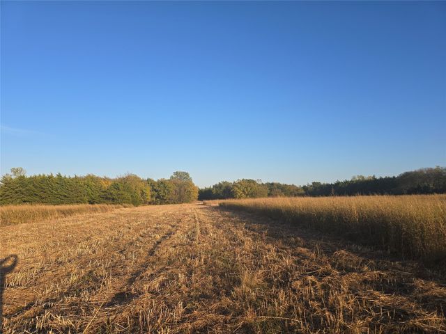 801 COUNTY ROAD 36010, Honey Grove, TX 75446