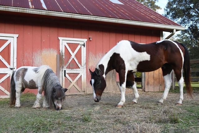 520 Pecan Dr, St Gabriel, LA 70776