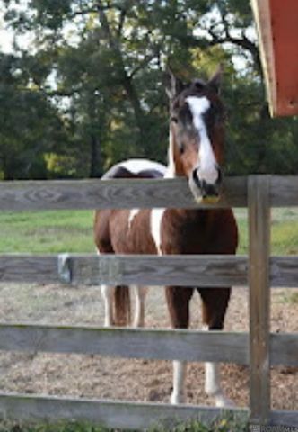 520 Pecan Dr, St Gabriel, LA 70776