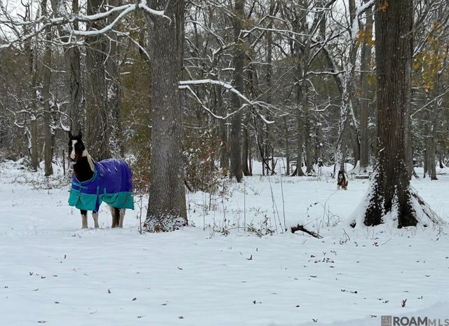 520 Pecan Dr, St Gabriel, LA 70776